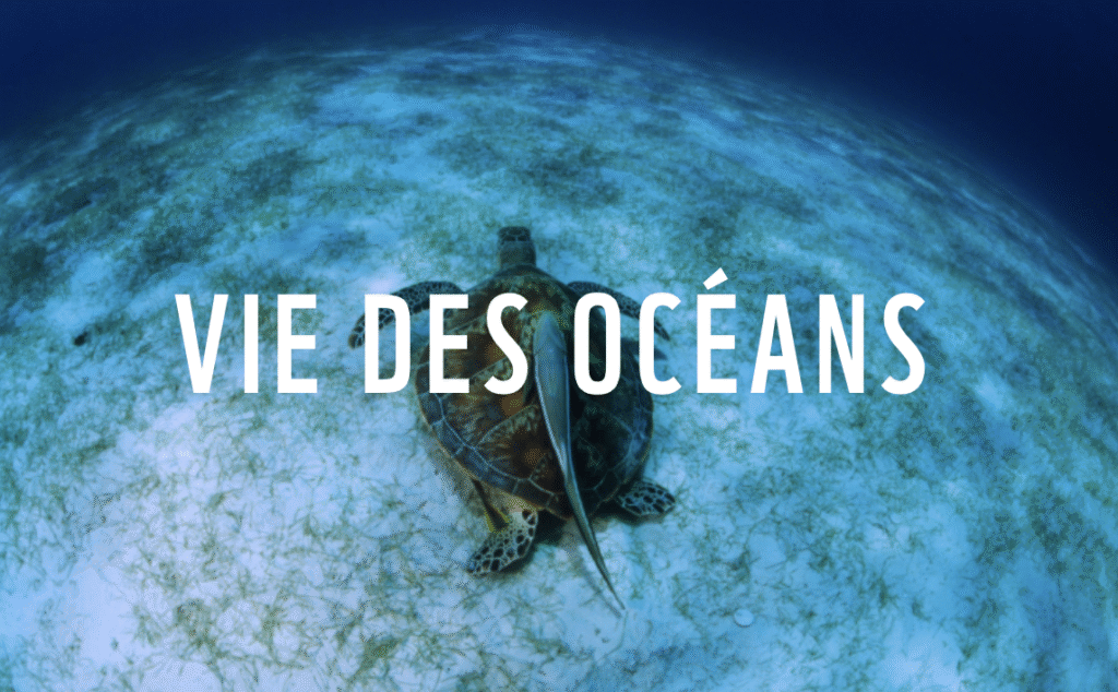 WWF
